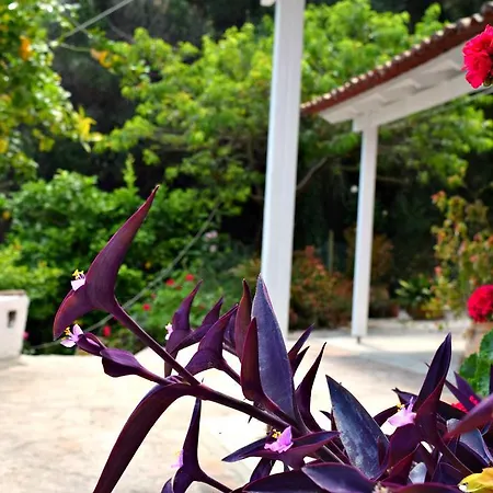 דירה Eden Sea View *