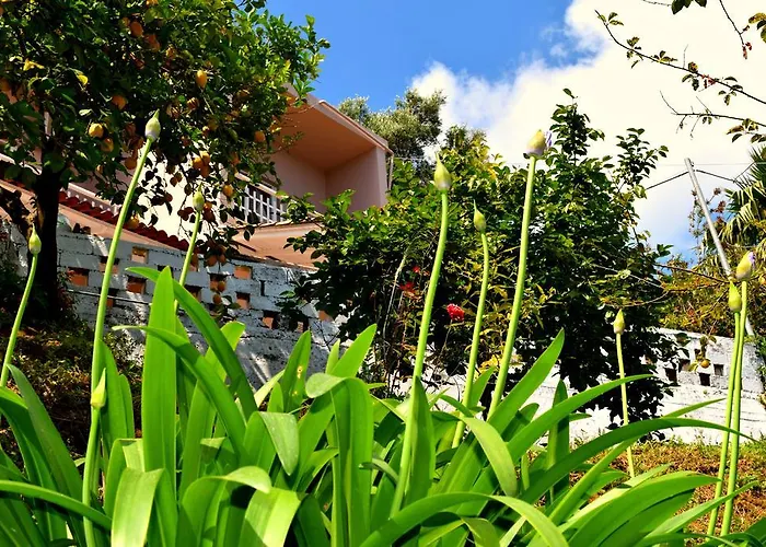 Apartmán Calm Sea View Apartments *