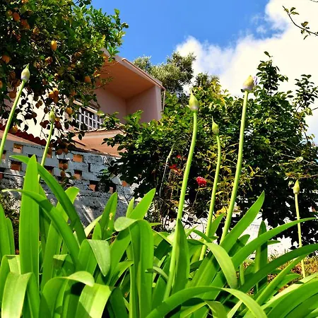 Apartment Eden Sea View *