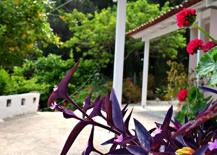 Appartamento Calm Sea View Apartments *