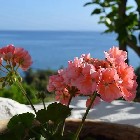 Eden Sea View Appartamento Mesongí